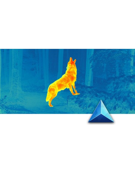 Monocular Térmico PULSAR Telos XP50 / XP50LRF