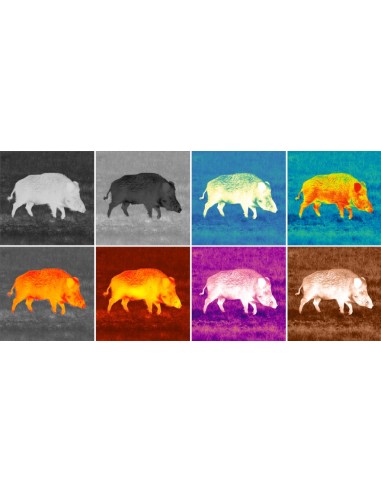 Monocular Térmico PULSAR Axion  XQ30 PRO