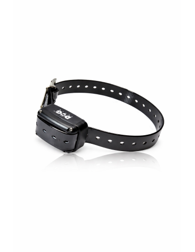 Collar Adicional DOGTRACE. Oferta y comprar online mejor precio
