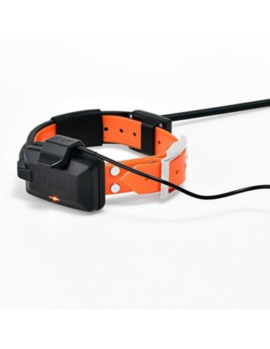 Collar adicional GPS DOGTRACE GPS X30
