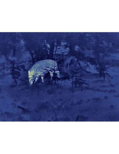 Monocular Térmico STEINER Nighthunter H35