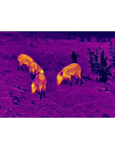 Monocular Térmico STEINER Nighthunter H35