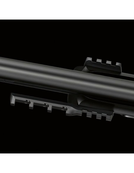 Carabina Stoeger XM1