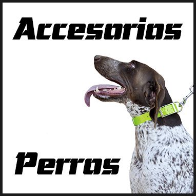 Accesorios para perros de caza. Comprar online